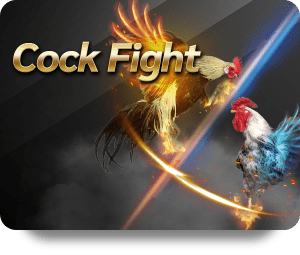 Join the Fun with Dafabet Live Dealer Hot Right Now